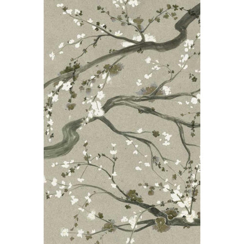 Neutral Cherry Blossoms II Black Modern Wood Framed Art Print with Double Matting by Popp, Grace