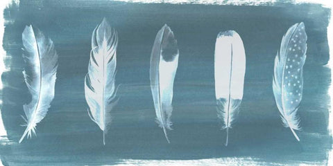 Feathers on Dusty Teal I White Modern Wood Framed Art Print with Double Matting by Popp, Grace