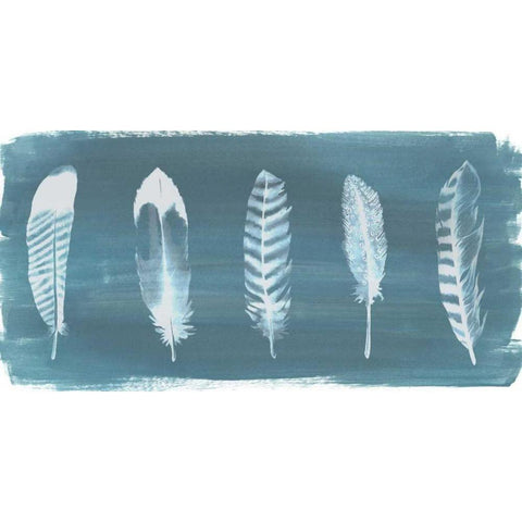 Feathers on Dusty Teal II Black Modern Wood Framed Art Print with Double Matting by Popp, Grace