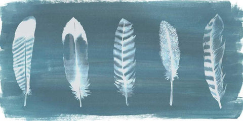 Feathers on Dusty Teal II Black Ornate Wood Framed Art Print with Double Matting by Popp, Grace