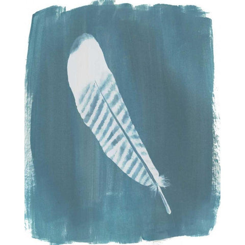 Feathers on Dusty Teal VI White Modern Wood Framed Art Print by Popp, Grace