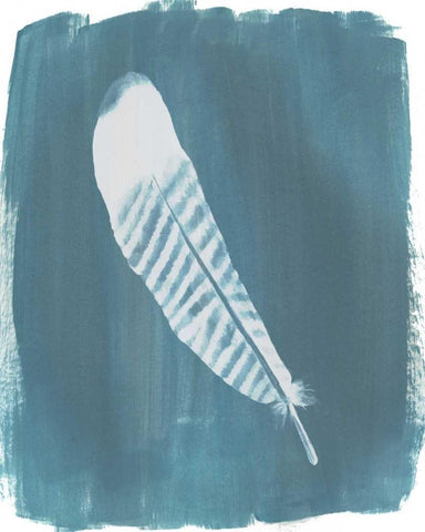 Feathers on Dusty Teal VI Black Ornate Wood Framed Art Print with Double Matting by Popp, Grace