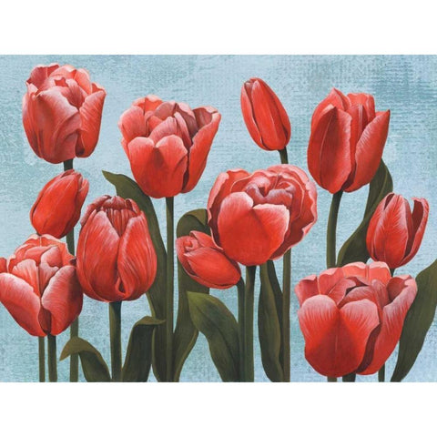 Ruby Tulips II Black Modern Wood Framed Art Print with Double Matting by Popp, Grace