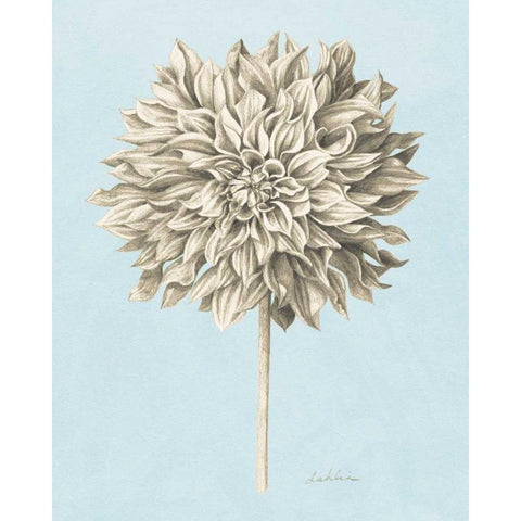 Graphite Botanical Study III White Modern Wood Framed Art Print by Popp, Grace