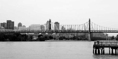 NY Scenes VI Black Ornate Wood Framed Art Print with Double Matting by Pica, Jeff