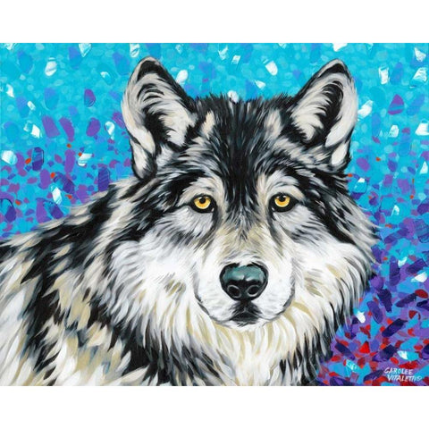 Grey Wolf II Black Modern Wood Framed Art Print with Double Matting by Vitaletti, Carolee