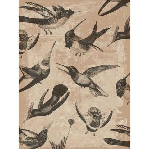 Bird Pattern I Black Modern Wood Framed Art Print by Goldberger, Jennifer