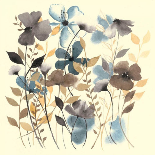 Image Only
