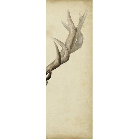 Triptych Elk III Black Modern Wood Framed Art Print with Double Matting by Popp, Grace