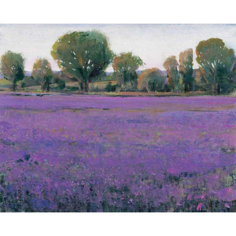 Lavender Field I Black Modern Wood Framed Art Print with Double Matting by OToole, Tim