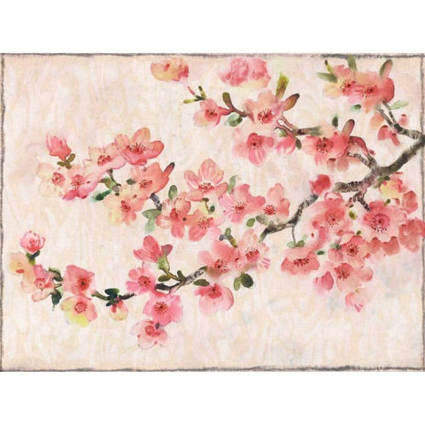 Cherry Blossom Composition I Black Modern Wood Framed Art Print with Double Matting by OToole, Tim