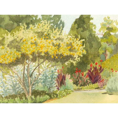 Plein Air Garden VI White Modern Wood Framed Art Print by Miller, Dianne