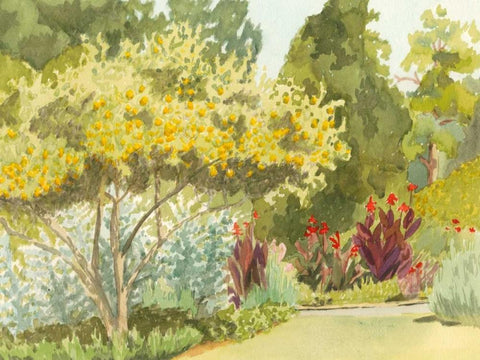 Plein Air Garden VI Black Ornate Wood Framed Art Print with Double Matting by Miller, Dianne