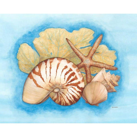 Seashells and Seafan I Gold Ornate Wood Framed Art Print with Double Matting by Russell, Wendy