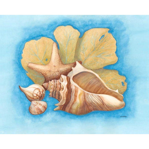 Seashells and Seafan II Black Modern Wood Framed Art Print by Russell, Wendy