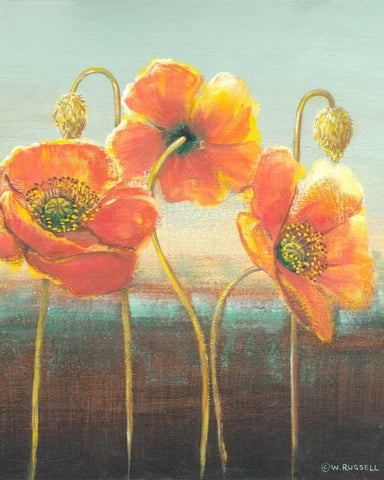 Poppy Tops II White Modern Wood Framed Art Print with Double Matting by Russell, Wendy