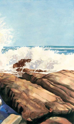 Sea Spray II Black Ornate Wood Framed Art Print with Double Matting by Miller, Dianne