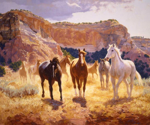 Canyon Trails Black Ornate Wood Framed Art Print with Double Matting by Goldrick, Claire