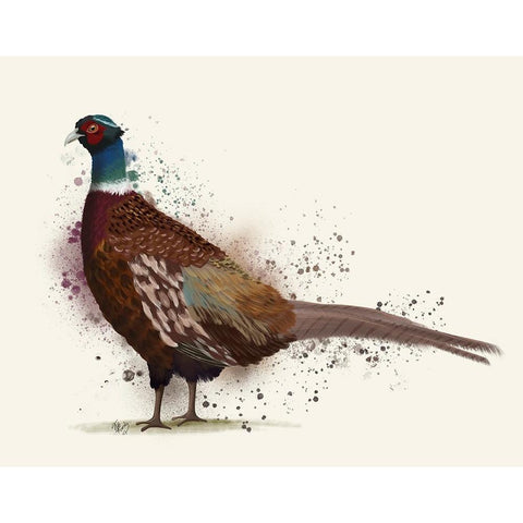 Pheasant Splash 1 Black Modern Wood Framed Art Print with Double Matting by Fab Funky