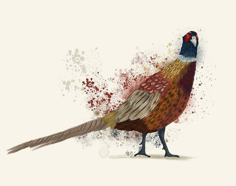 Pheasant Splash 2 White Modern Wood Framed Art Print with Double Matting by Fab Funky