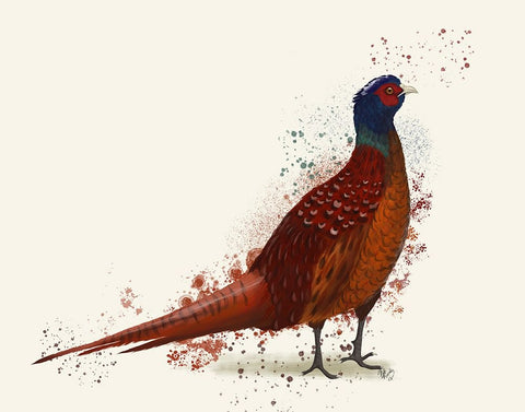 Pheasant Splash 4 Black Ornate Wood Framed Art Print with Double Matting by Fab Funky