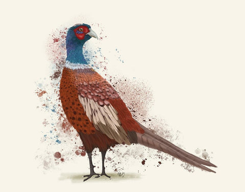 Pheasant Splash 5 White Modern Wood Framed Art Print with Double Matting by Fab Funky