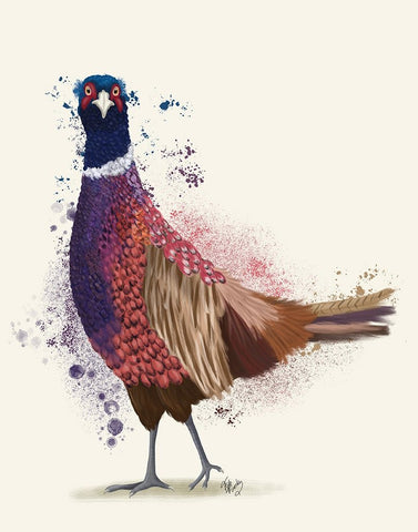 Pheasant Splash 6 White Modern Wood Framed Art Print with Double Matting by Fab Funky