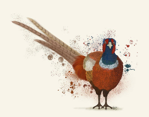 Pheasant Splash 7 White Modern Wood Framed Art Print with Double Matting by Fab Funky