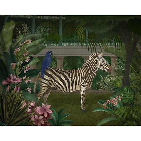 Zebra In Conservatory White Modern Wood Framed Art Print by Fab Funky