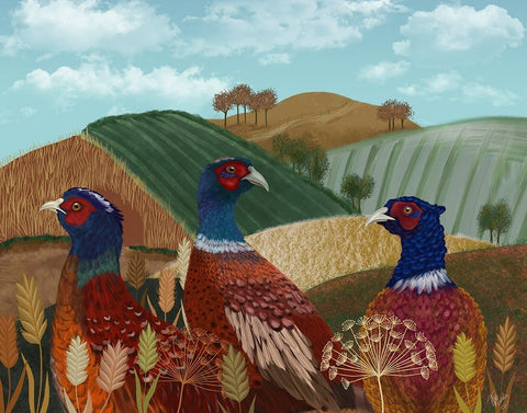 Pheasant Trio in Field White Modern Wood Framed Art Print with Double Matting by Fab Funky