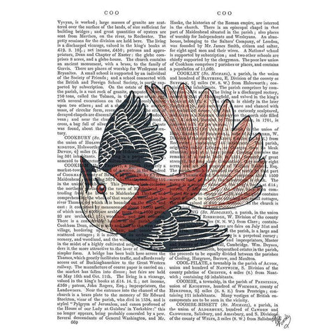 Sideshow Bird 2 Book Print Black Modern Wood Framed Art Print with Double Matting by Fab Funky