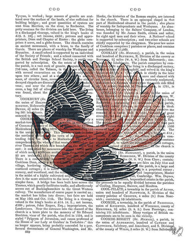 Sideshow Bird 2 Book Print White Modern Wood Framed Art Print with Double Matting by Fab Funky