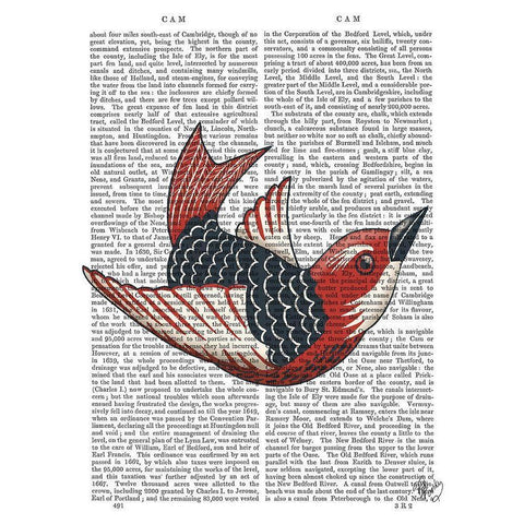 Sideshow Bird 4 Book Print White Modern Wood Framed Art Print by Fab Funky