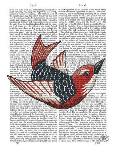 Sideshow Bird 4 Book Print White Modern Wood Framed Art Print with Double Matting by Fab Funky