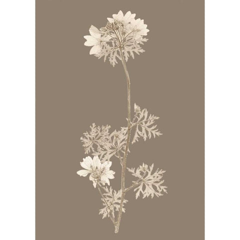 Taupe Nature Study II Custom White Modern Wood Framed Art Print by Vision Studio