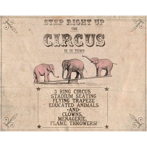 Vintage Circus Collection A White Modern Wood Framed Art Print by Popp, Grace