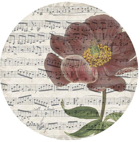 Musical Paris Collection H White Modern Wood Framed Art Print with Double Matting by Jennifer Goldberger