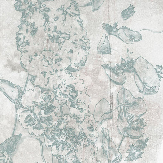 Image Only