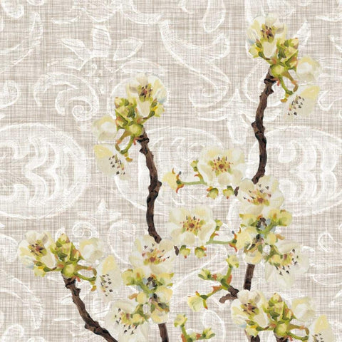 Flower Collection Study E Black Ornate Wood Framed Art Print with Double Matting by Miller, Diane