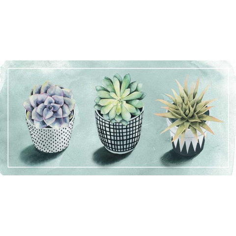 Succulent Love Collection C Black Modern Wood Framed Art Print with Double Matting by Popp, Grace