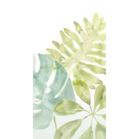 Songbird Collection B White Modern Wood Framed Art Print by Vess, June Erica