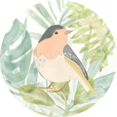 Songbird Collection C Black Modern Wood Framed Art Print with Double Matting by Vess, June Erica