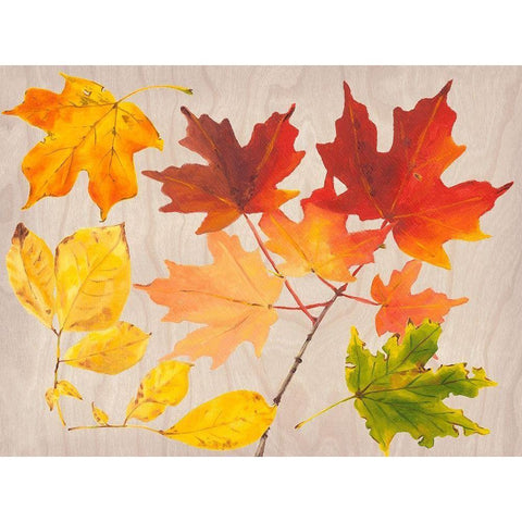 Autumn Leaves Collection A Gold Ornate Wood Framed Art Print with Double Matting by Miller, Dianne