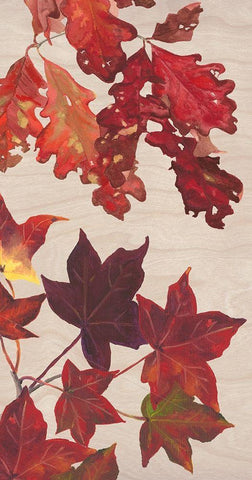 Autumn Leaves Collection B White Modern Wood Framed Art Print with Double Matting by Miller, Dianne