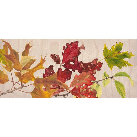 Autumn Leaves Collection D Black Modern Wood Framed Art Print with Double Matting by Miller, Dianne