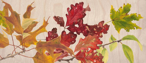 Autumn Leaves Collection D White Modern Wood Framed Art Print with Double Matting by Miller, Dianne