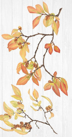 Sweet Foliage Collection B Black Ornate Wood Framed Art Print with Double Matting by Miller, Dianne