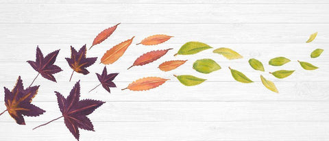 Sweet Foliage Collection D White Modern Wood Framed Art Print with Double Matting by Miller, Dianne