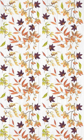 Sweet Foliage Collection E White Modern Wood Framed Art Print with Double Matting by Miller, Dianne