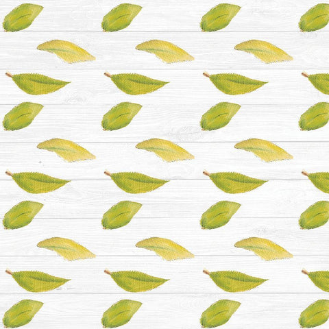 Sweet Foliage Collection F White Modern Wood Framed Art Print with Double Matting by Miller, Dianne